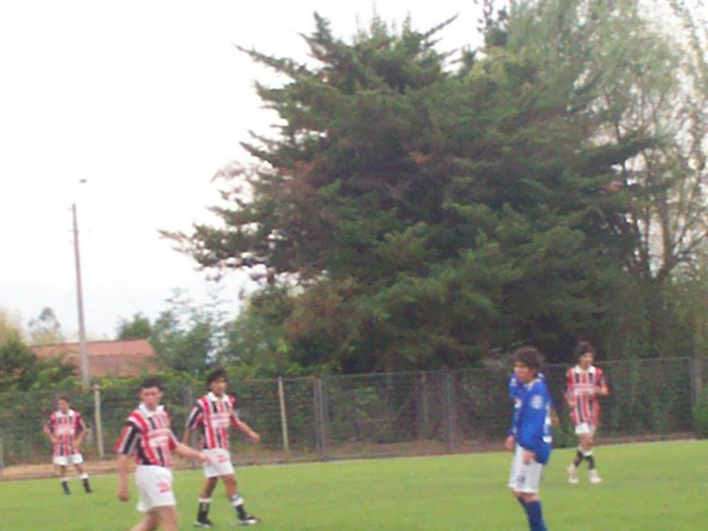 Internacional 2007 - Foto 24